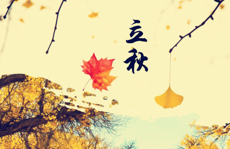 立秋節(jié)氣，搬家公司