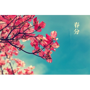 2025年3月搬家黃道吉日查詢-遷喜來搬家