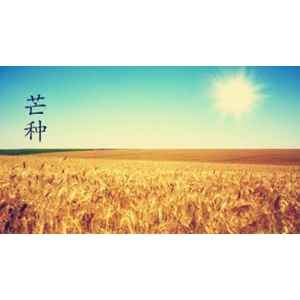 2025年6月搬家黃道吉日查詢-遷喜來搬家